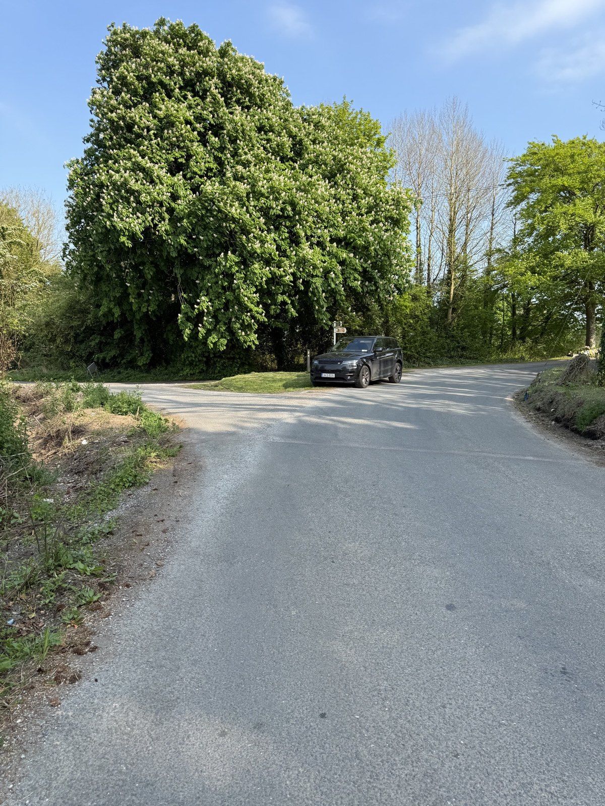 The bend. Disturbed verge on the left. The turn she had to make is ahead. No cone in this frame.