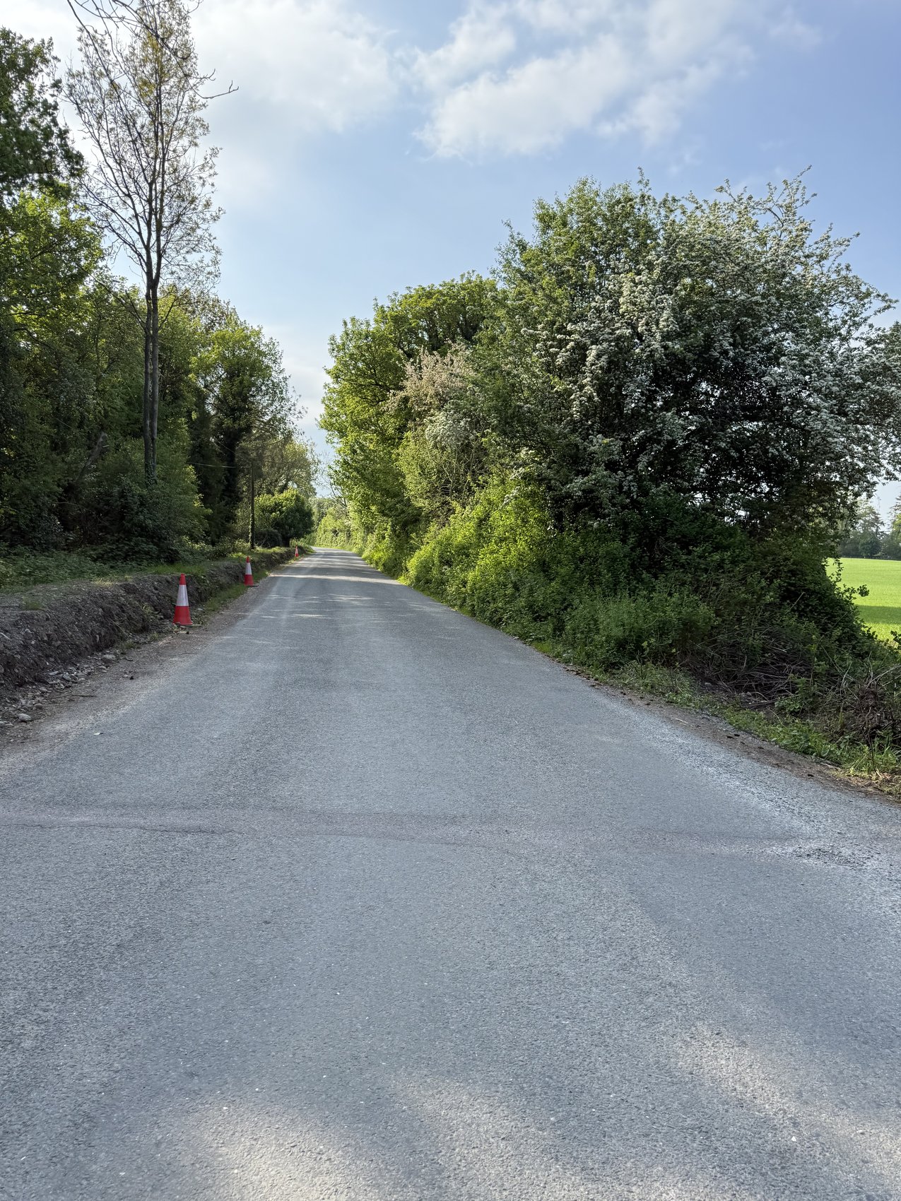 The long approach road with a raised roadside earth verge along the left edge
