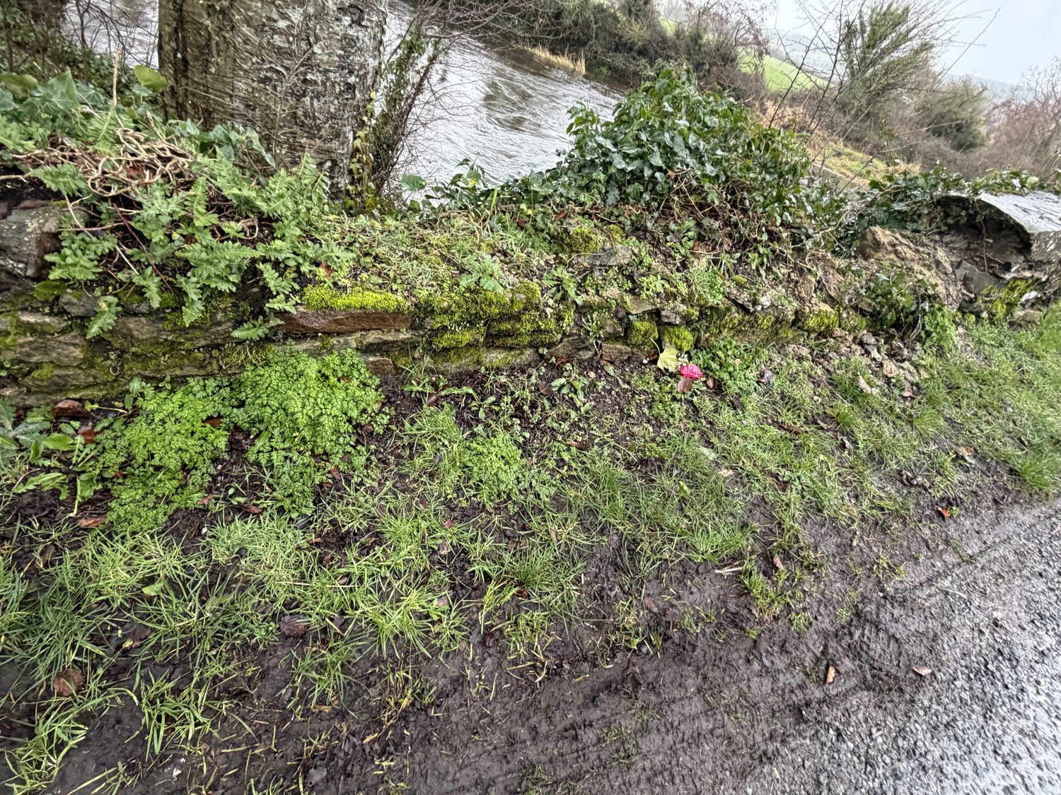 The parapet at the point on the bridge the car reached — the capping removed, and no bend-warning sign or reduced speed on the approach. The council's own inspection of 21 January 2025 recorded the capping “partly removed.”