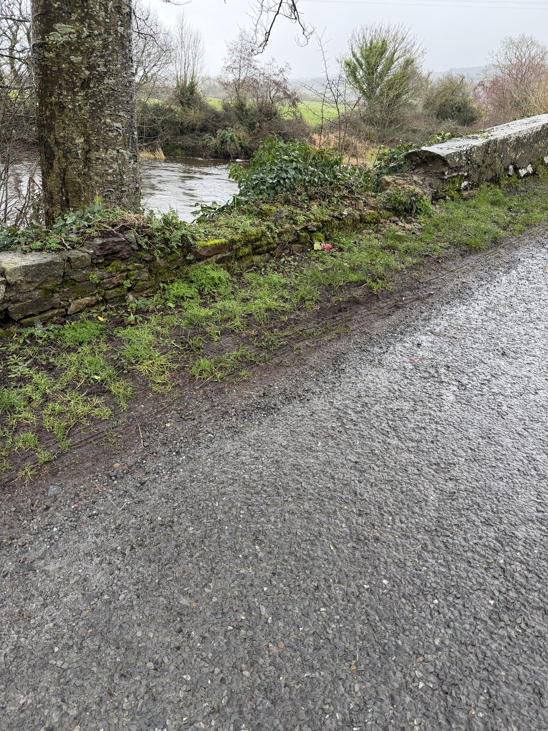 The five-metre stretch where the wall's capping was removed — recorded in the council's inspection of 21 January 2025.