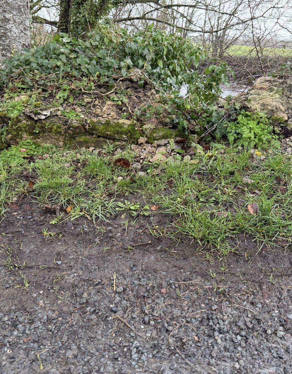 The height of the wall at the point the car left the road — the capping gone and the grass verge grown almost to the top of the remaining stonework.