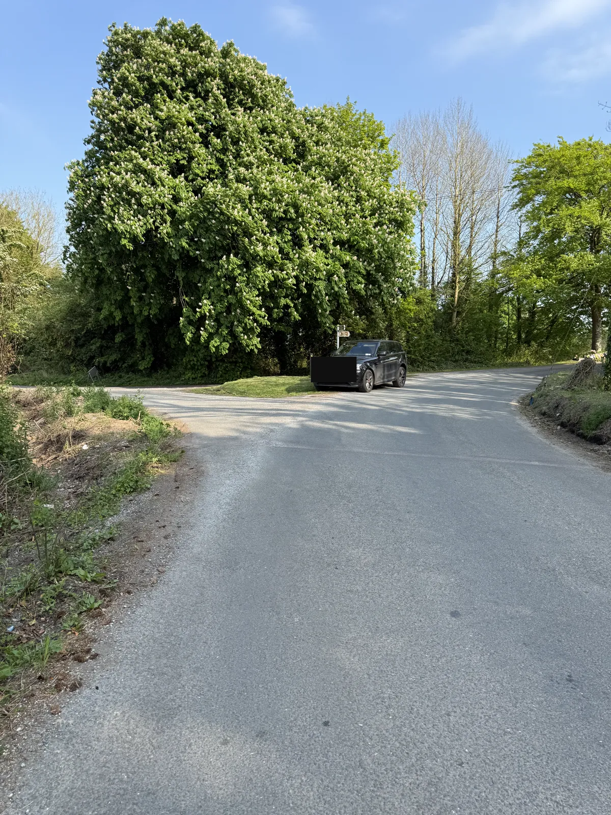 Right-side cut bank at the turn, 1 May 2025; numberplate obscured by an opaque plate-only mask.